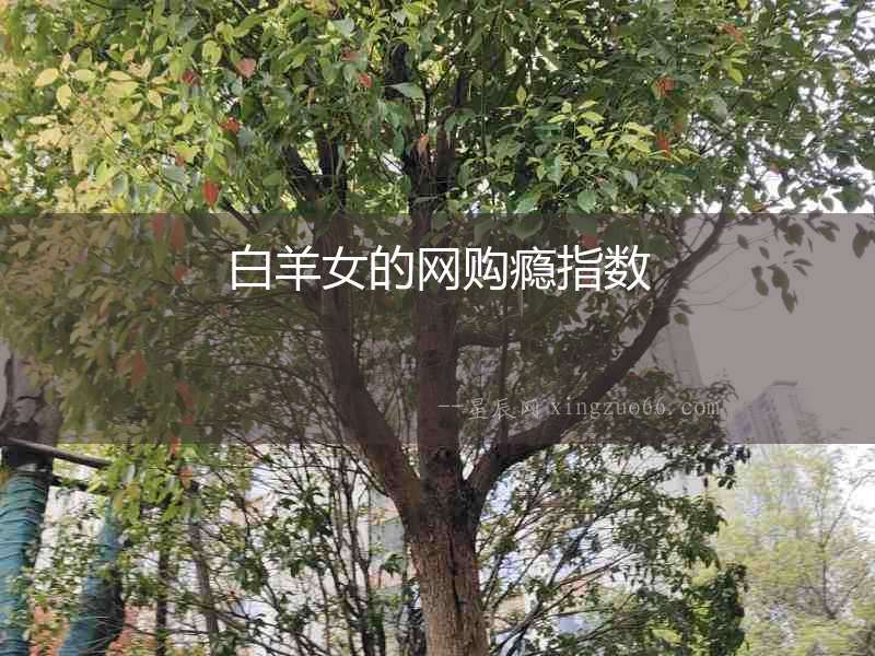 白羊女的網(wǎng)購癮指數(shù)