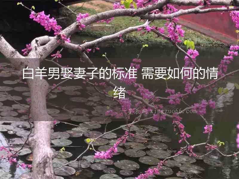 白羊男娶妻子的標準 需要如何的情緒