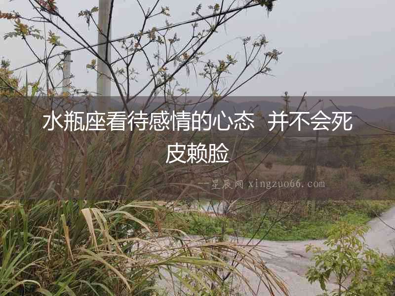 水瓶座看待感情的心態(tài)  并不會死皮賴臉