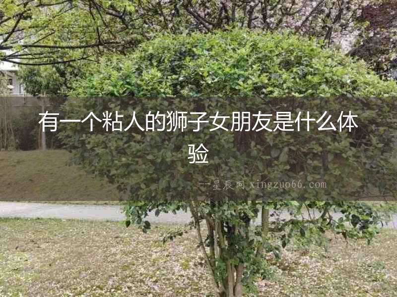 有一個(gè)粘人的獅子女朋友是什么體驗(yàn)