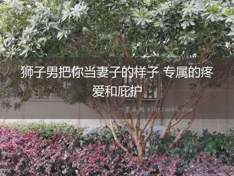 獅子男把你當妻子的樣子 專屬的疼愛和庇護