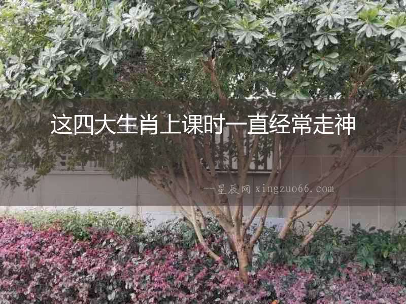 這四大生肖上課時一直經常走神