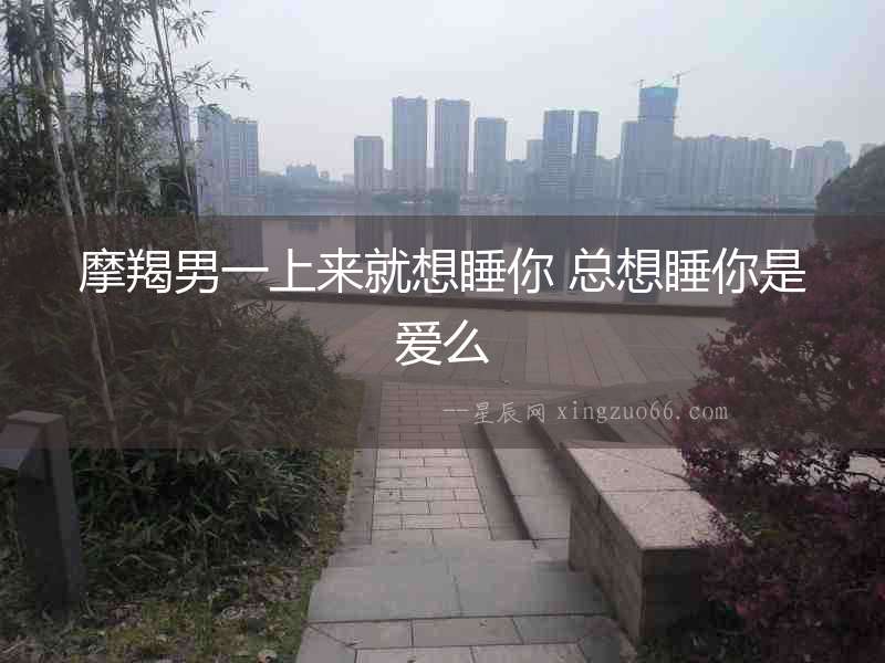 摩羯男一上來就想睡你 總想睡你是愛么
