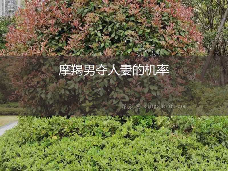 摩羯男奪人妻的機率