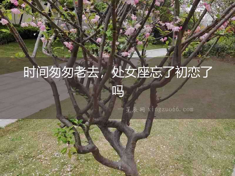 時間匆匆老去，處女座忘了初戀了嗎