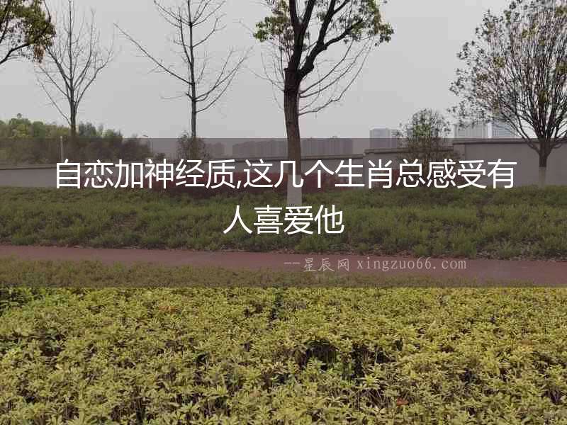 自戀加神經質,這幾個生肖總感受有人喜愛他