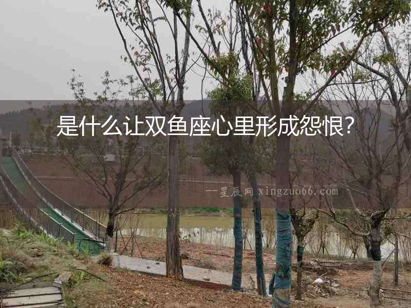 是什么讓雙魚座心里形成怨恨？