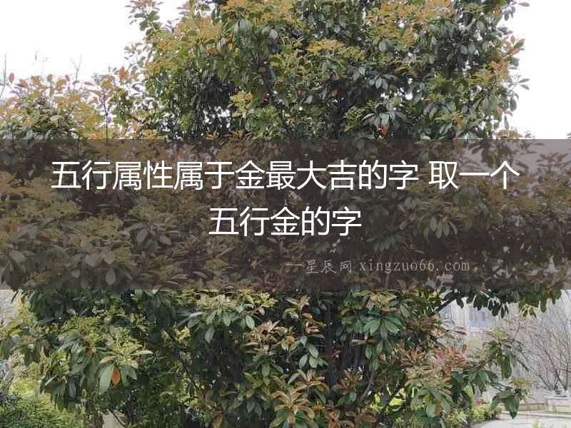 五行屬性屬于金最大吉的字 取一個(gè)五行金的字