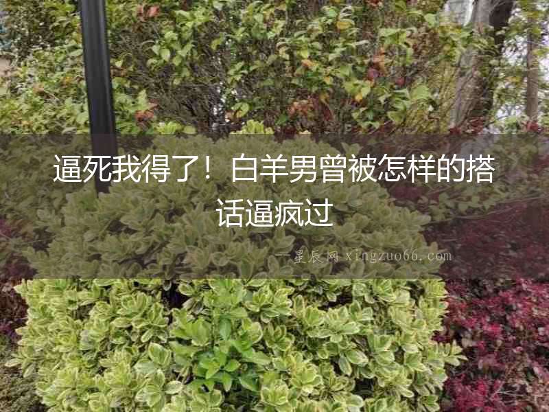 逼死我得了！白羊男曾被怎樣的搭話逼瘋過