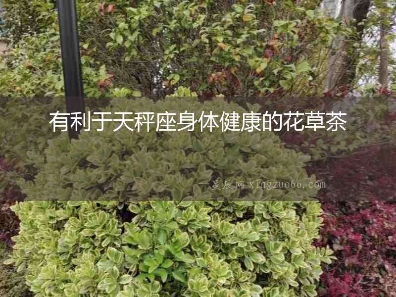 有利于天秤座身體健康的花草茶