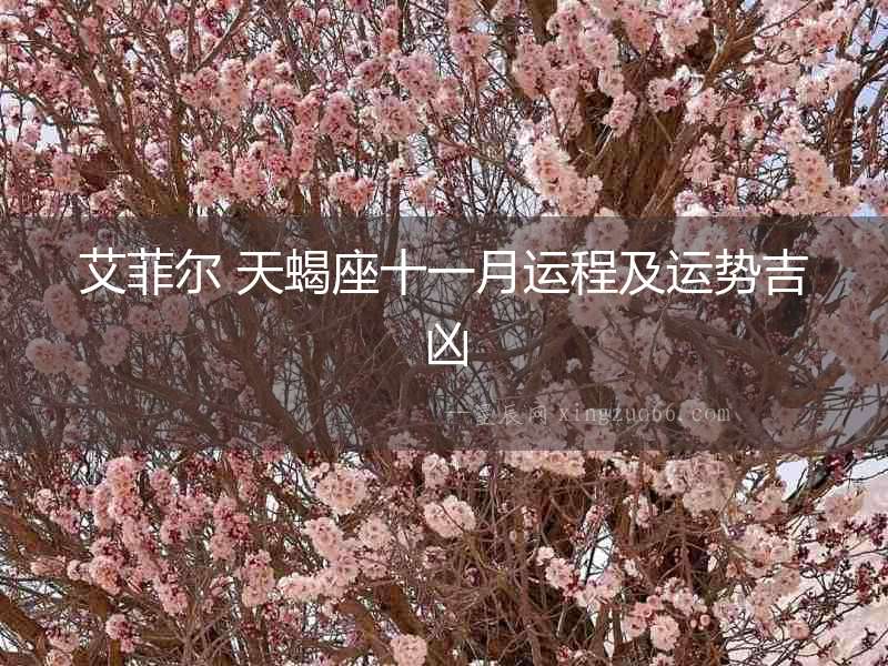 艾菲爾 天蝎座十一月運(yùn)程及運(yùn)勢(shì)吉兇
