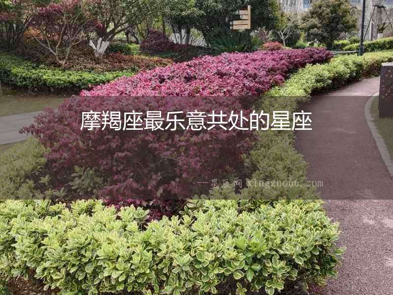 摩羯座最樂(lè)意共處的星座
