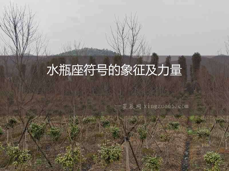 水瓶座符號的象征及力量