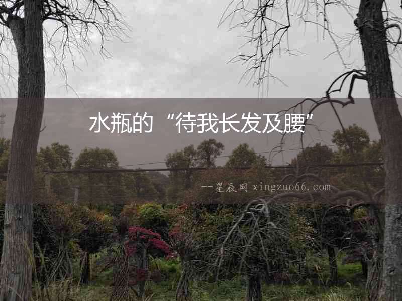 水瓶的“待我長發及腰”