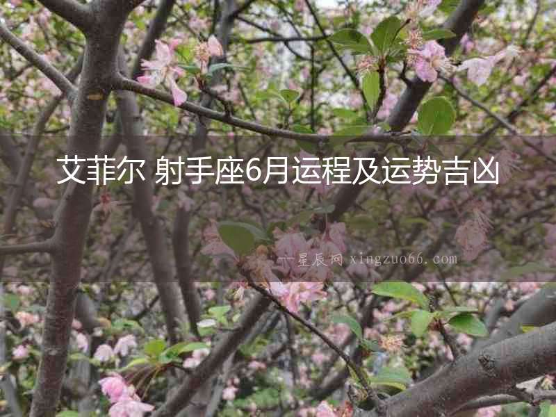 艾菲爾 射手座6月運程及運勢吉兇