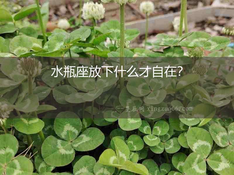水瓶座放下什么才自在？