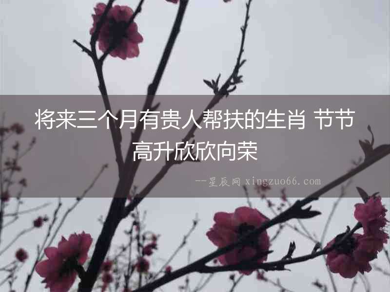 將來三個月有貴人幫扶的生肖 節節高升欣欣向榮
