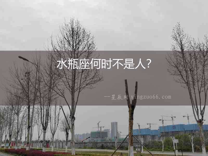 水瓶座何時不是人？
