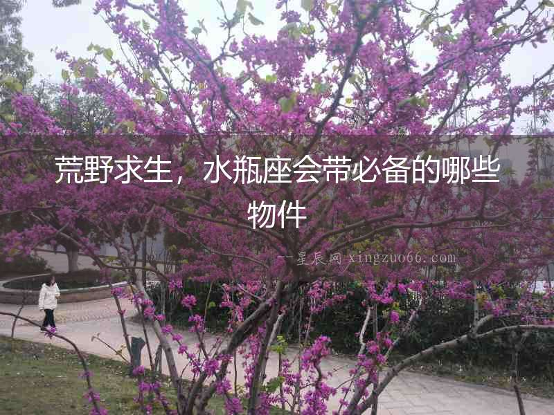 荒野求生，水瓶座會(huì)帶必備的哪些物件