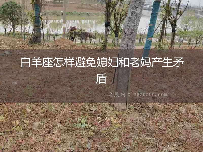 白羊座怎樣避免媳婦和老媽產生矛盾