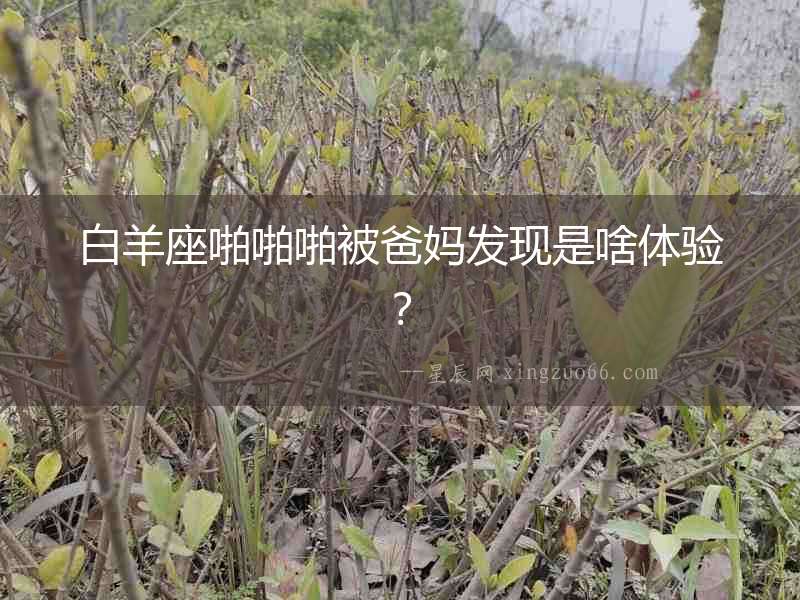 白羊座啪啪啪被爸媽發現是啥體驗？
