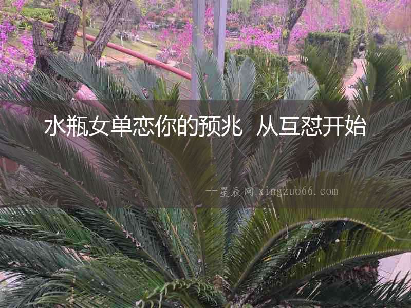 水瓶女單戀你的預(yù)兆  從互懟開始