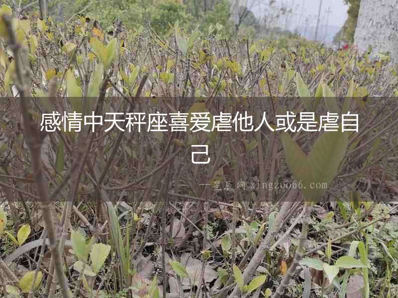 感情中天秤座喜愛虐他人或是虐自己