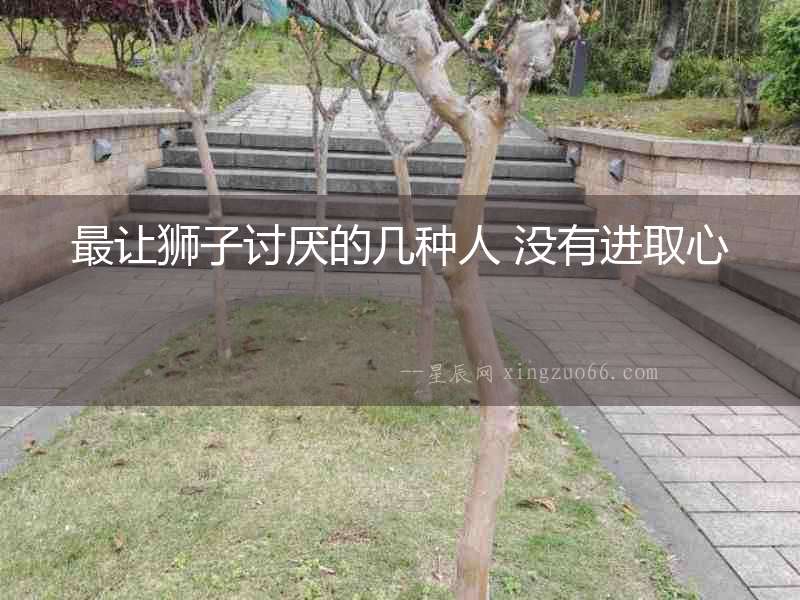 最讓獅子討厭的幾種人 沒有進(jìn)取心