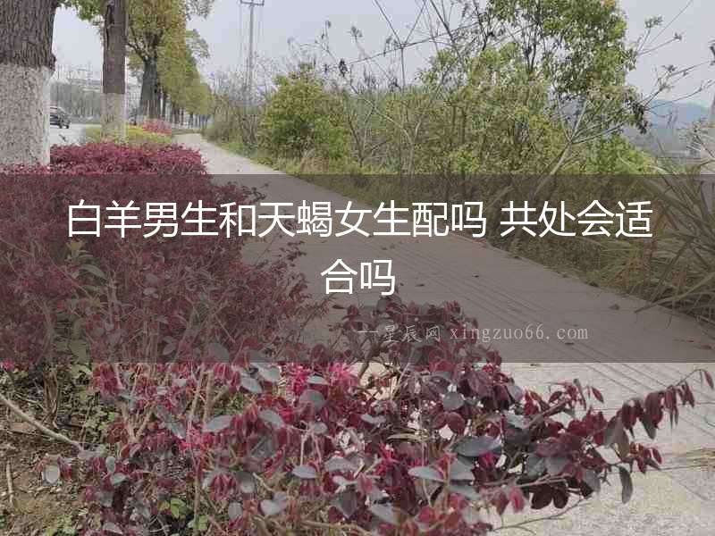 白羊男生和天蝎女生配嗎 共處會(huì)適合嗎