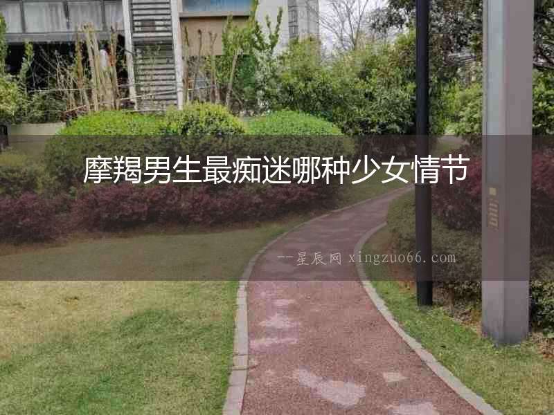 摩羯男生最癡迷哪種少女情節(jié)