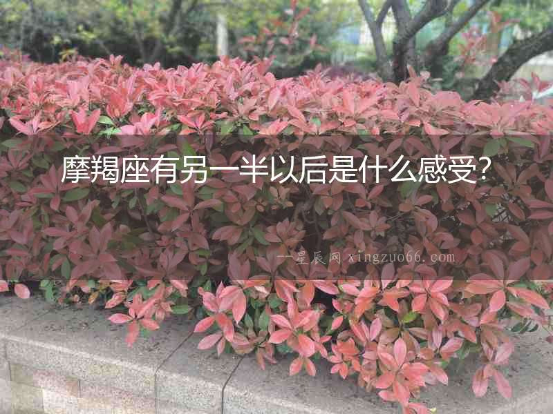 摩羯座有另一半以后是什么感受？