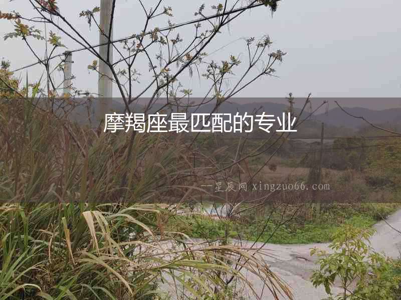 摩羯座最匹配的專業
