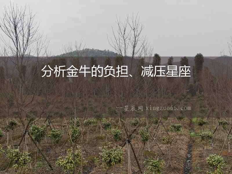 分析金牛的負擔、減壓星座