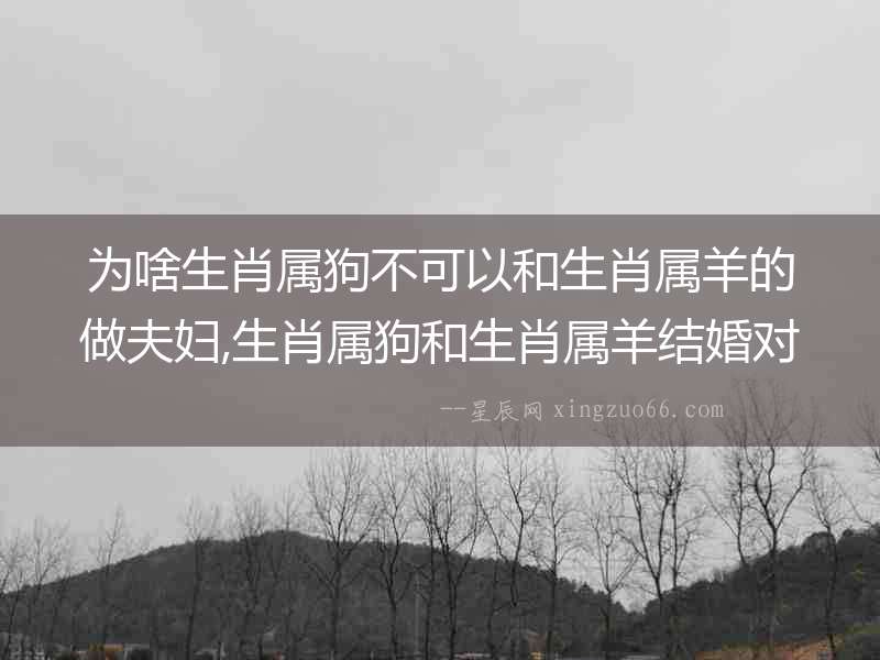 為啥生肖屬狗不可以和生肖屬羊的做夫婦,生肖屬狗和生肖屬羊結(jié)婚對誰不利