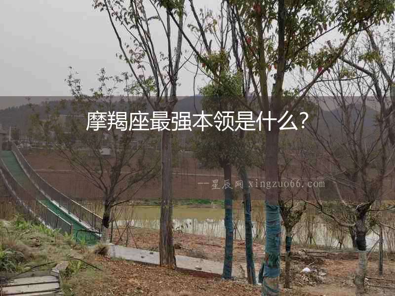 摩羯座最強本領是什么？