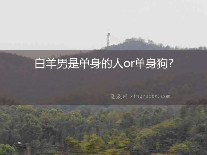 白羊男是單身的人or單身狗？