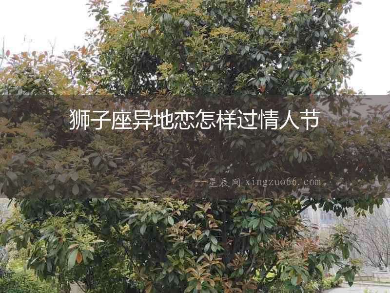 獅子座異地戀怎樣過情人節