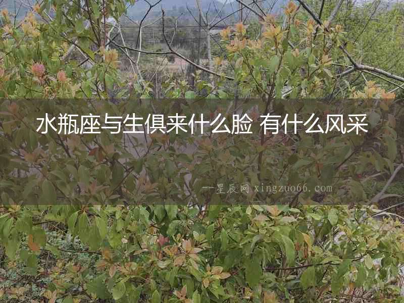 水瓶座與生俱來什么臉 有什么風采