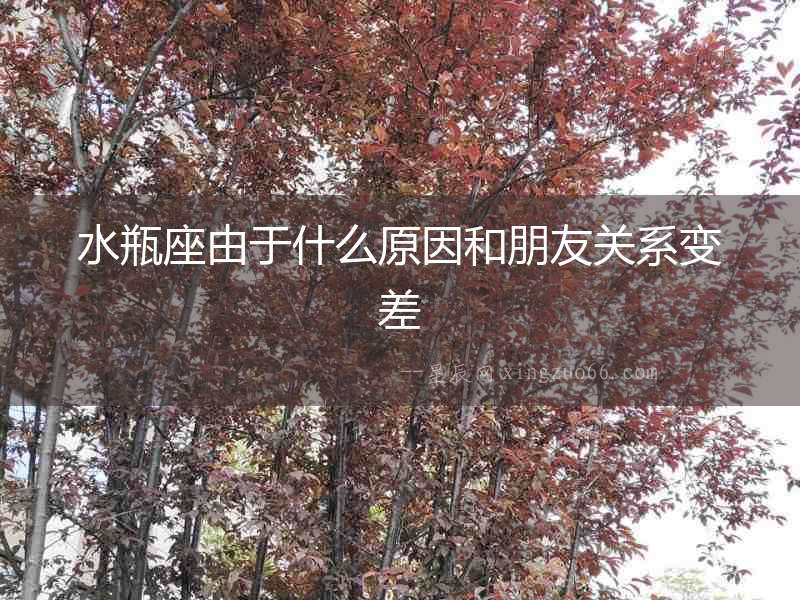 水瓶座由于什么原因和朋友關系變差