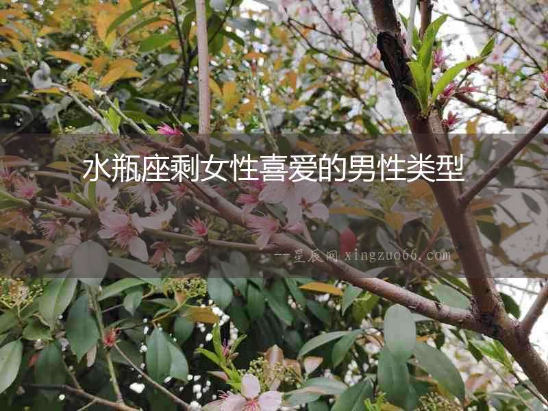 水瓶座剩女性喜愛的男性類型