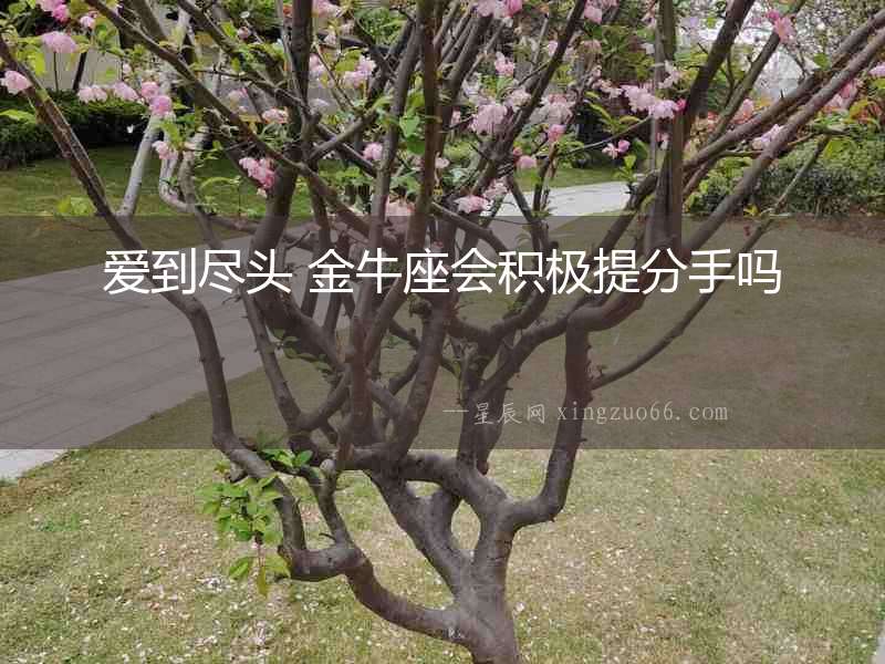 愛到盡頭 金牛座會(huì)積極提分手嗎