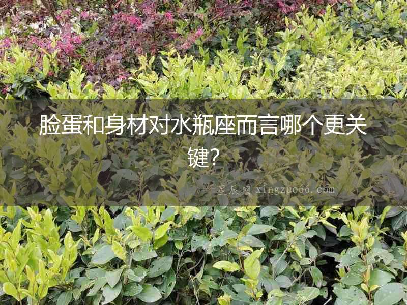 臉蛋和身材對水瓶座而言哪個更關鍵？