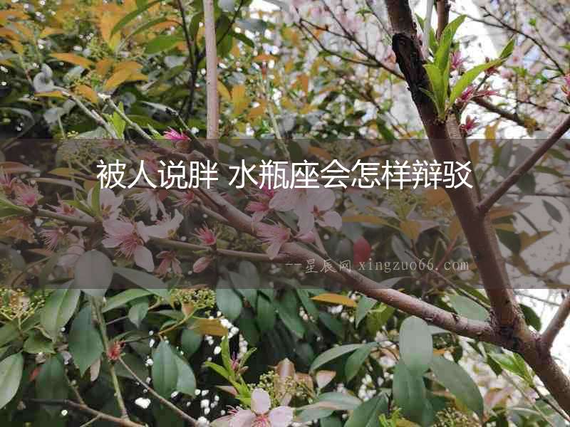 被人說(shuō)胖 水瓶座會(huì)怎樣辯駁