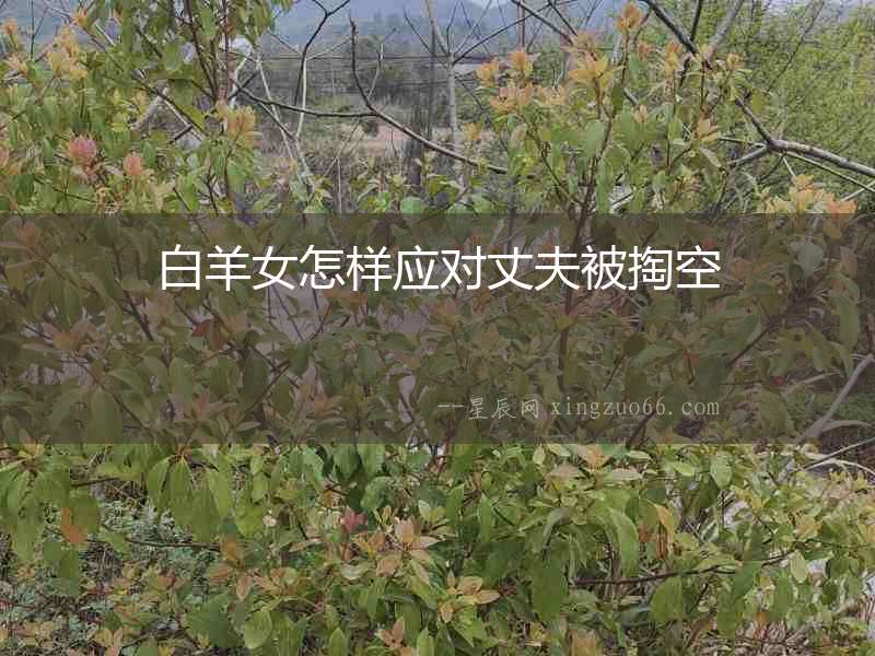 白羊女怎樣應對丈夫被掏空