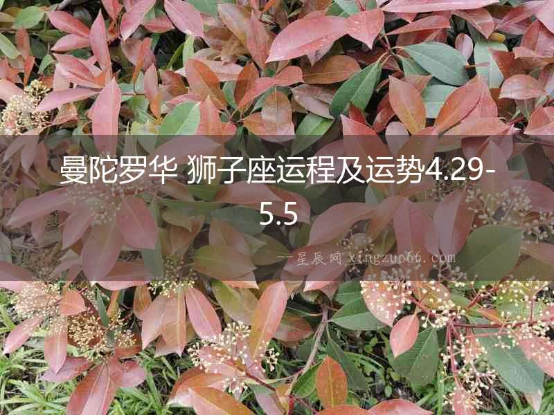 曼陀羅華 獅子座運程及運勢4.29-5.5