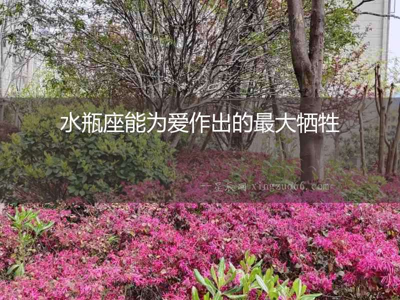 水瓶座能為愛作出的最大犧牲