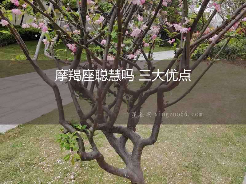 摩羯座聰慧嗎 三大優(yōu)點