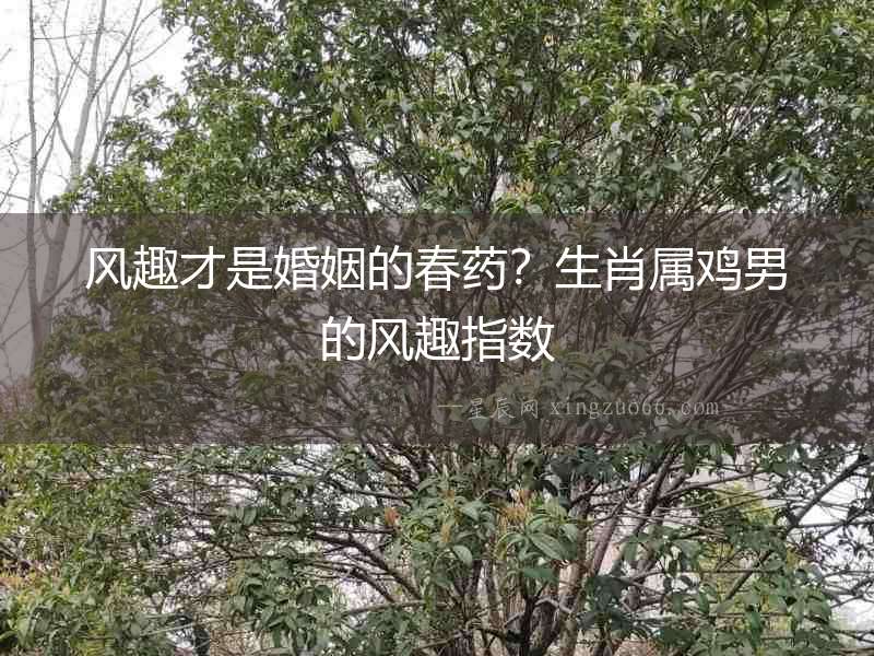 風(fēng)趣才是婚姻的春藥？生肖屬雞男的風(fēng)趣指數(shù)