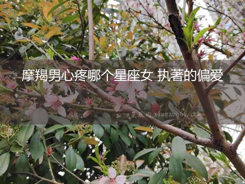 摩羯男心疼哪個星座女 執著的偏愛