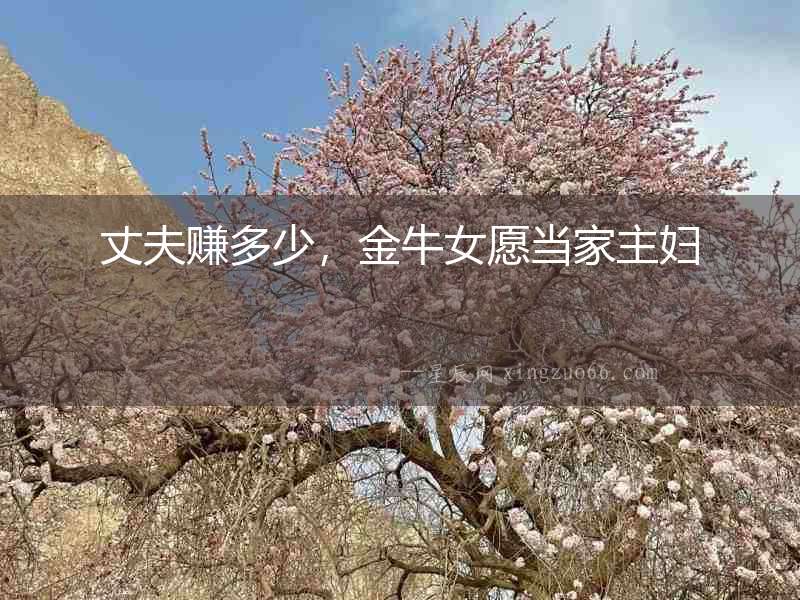 丈夫賺多少，金牛女愿當家主婦